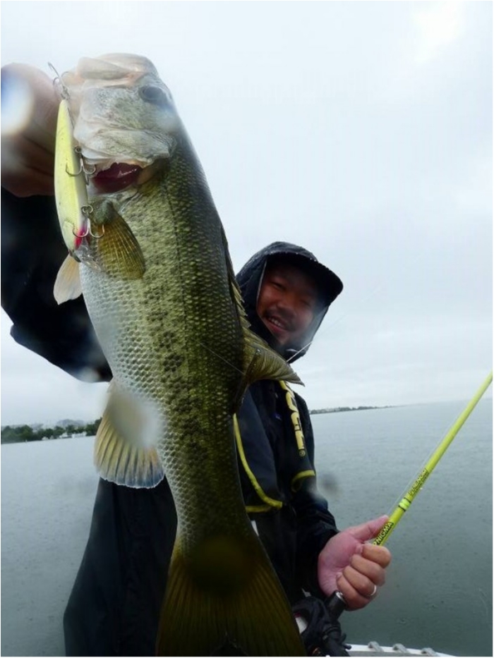 truth  ブログ写真 2018/07/06