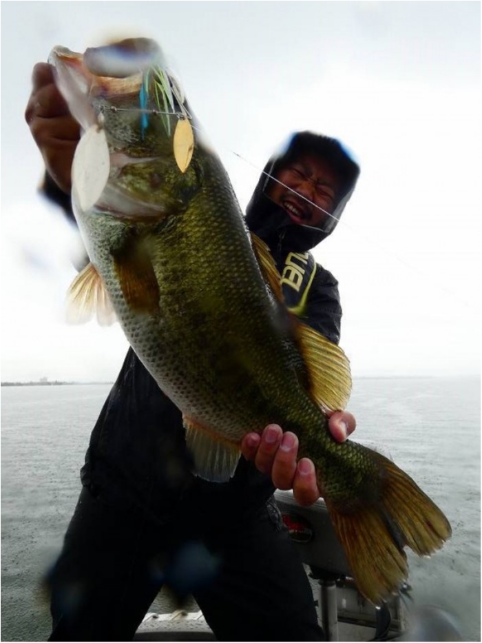 truth  ブログ写真 2018/07/06