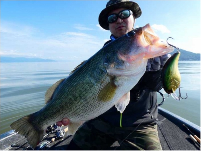 truth  ブログ写真 2018/07/09