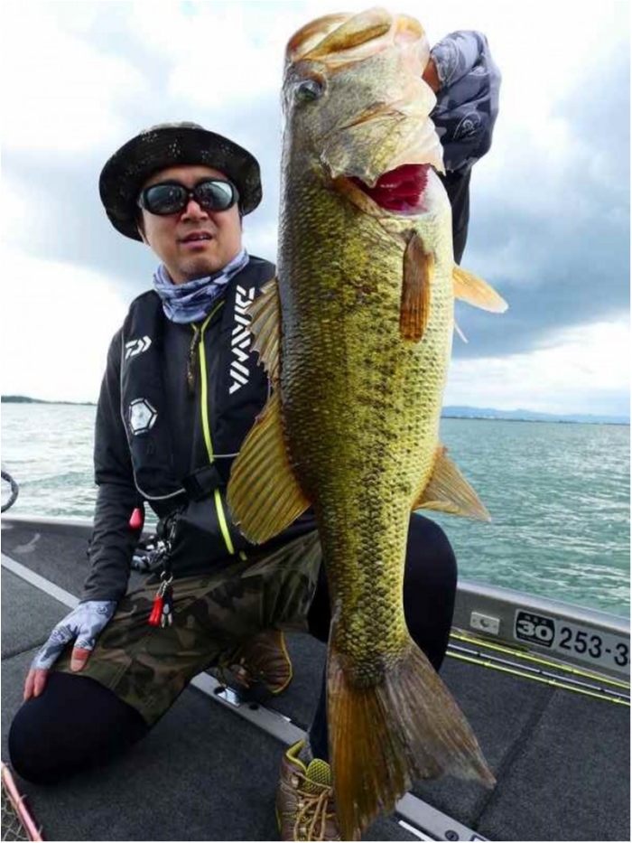 truth  ブログ写真 2018/07/09