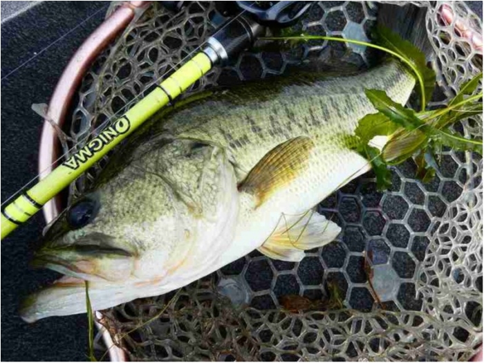 truth  ブログ写真 2018/07/11