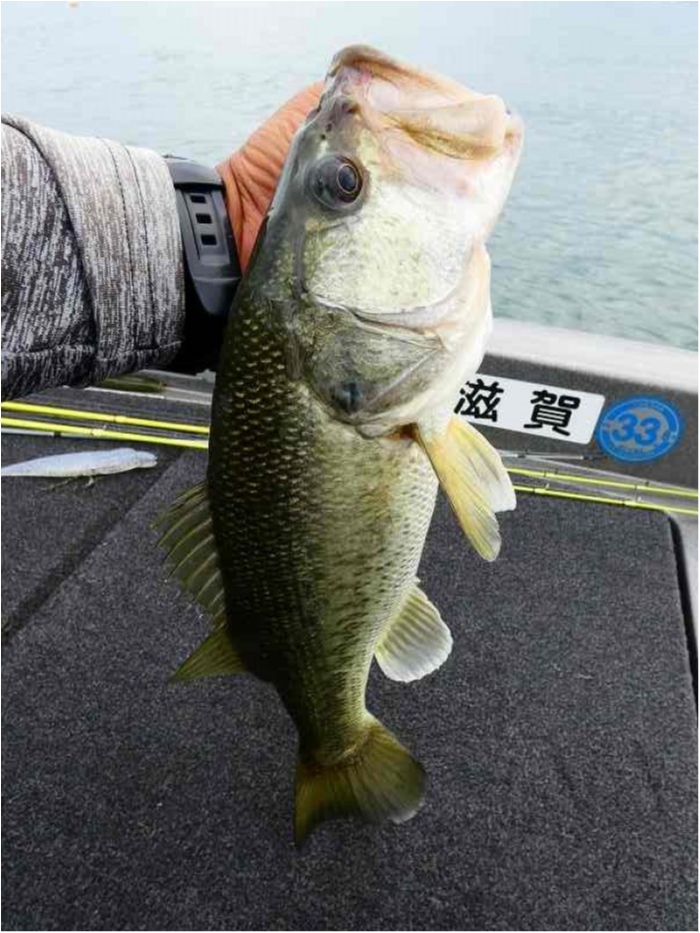 truth  ブログ写真 2018/07/11