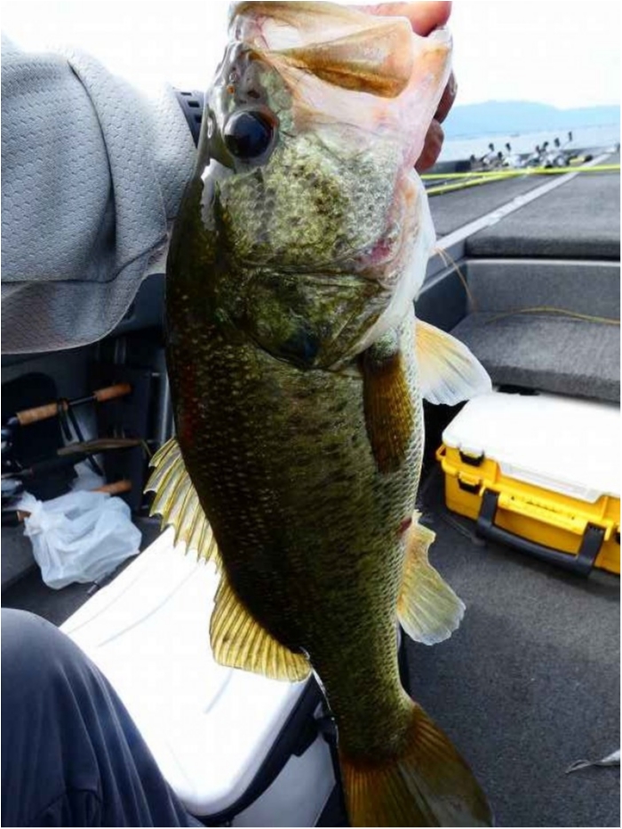 truth  ブログ写真 2018/07/12