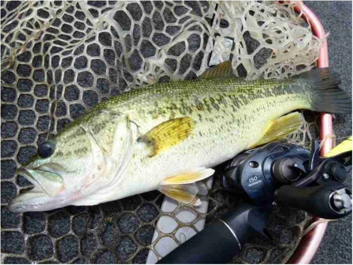 truth  ブログ写真 2018/07/12