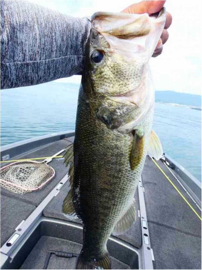 truth  ãã­ã°åç 2018/07/14