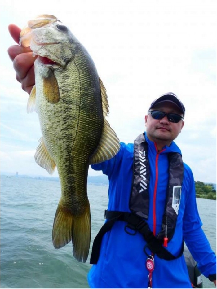 truth  ãã­ã°åç 2018/07/14