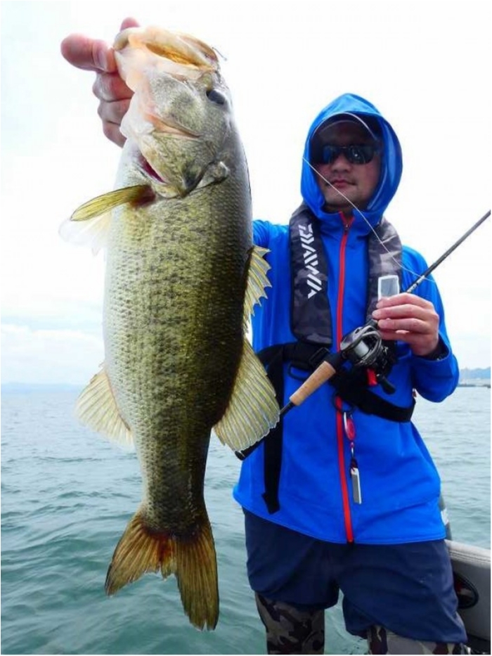 truth  ãã­ã°åç 2018/07/14