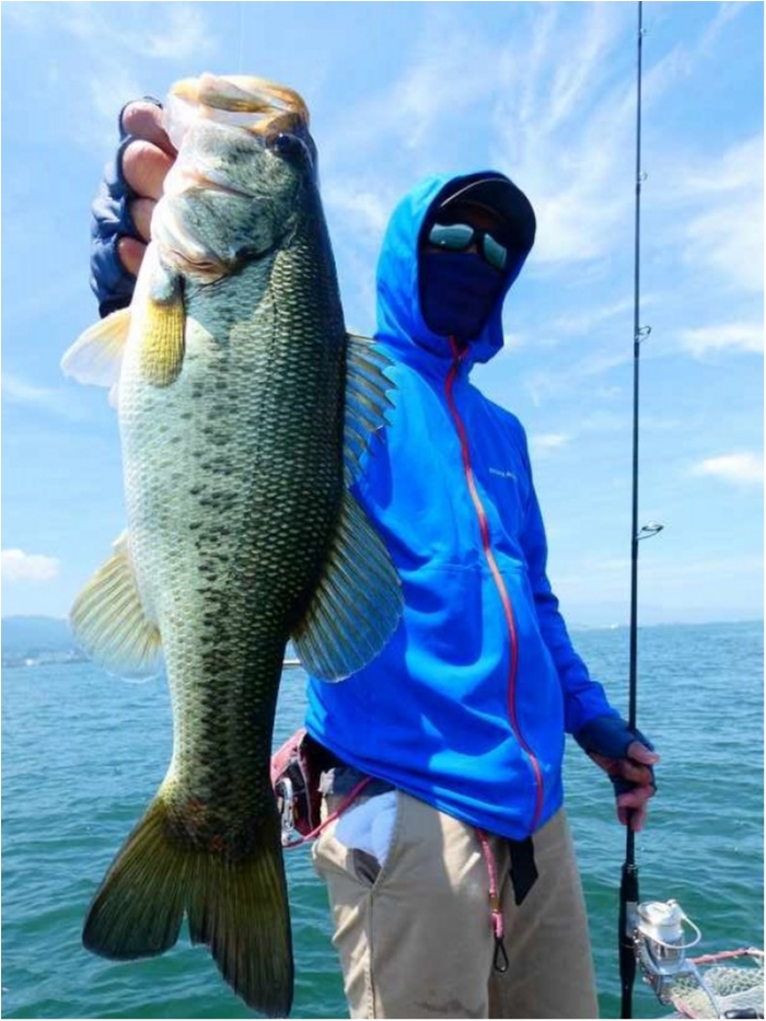 truth  ブログ写真 2018/07/14