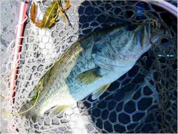 truth  ブログ写真 2018/07/14