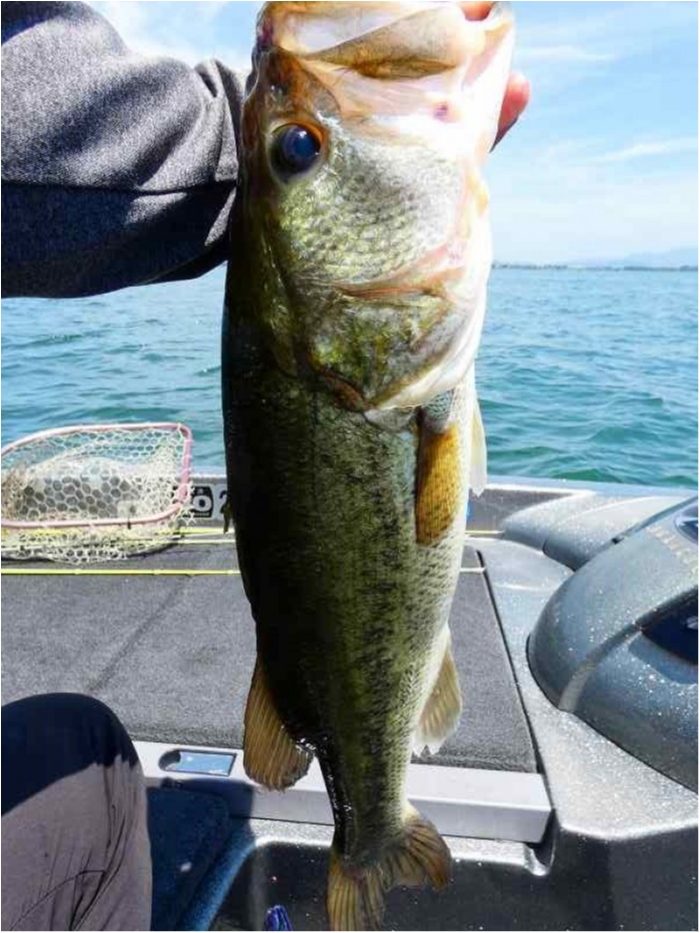 truth  ブログ写真 2018/07/14