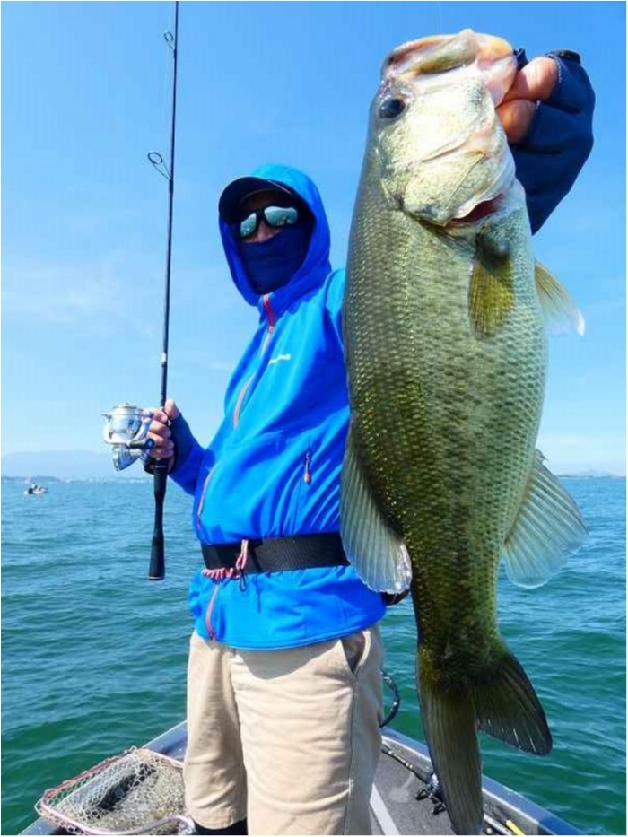 truth  ブログ写真 2018/07/14