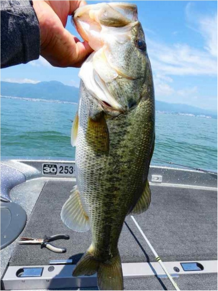 truth  ブログ写真 2018/07/14