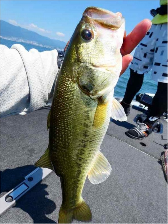 truth  ブログ写真 2018/07/15