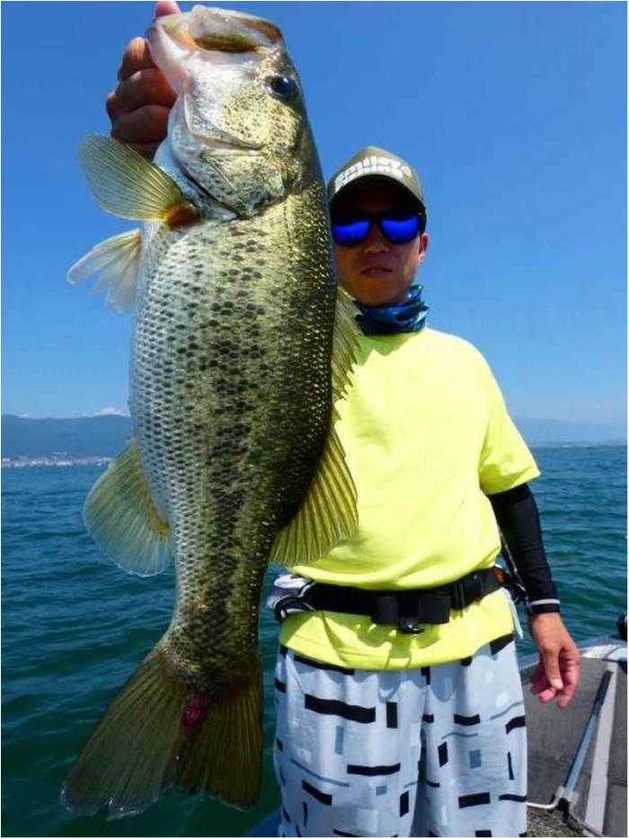 truth  ブログ写真 2018/07/15