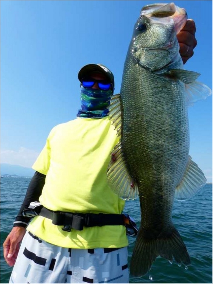 truth  ブログ写真 2018/07/15