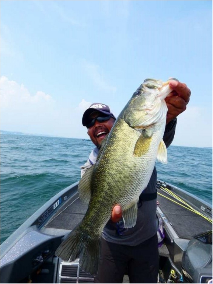 truth  ブログ写真 2018/07/16