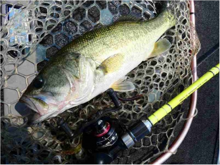 truth  ブログ写真 2018/07/16