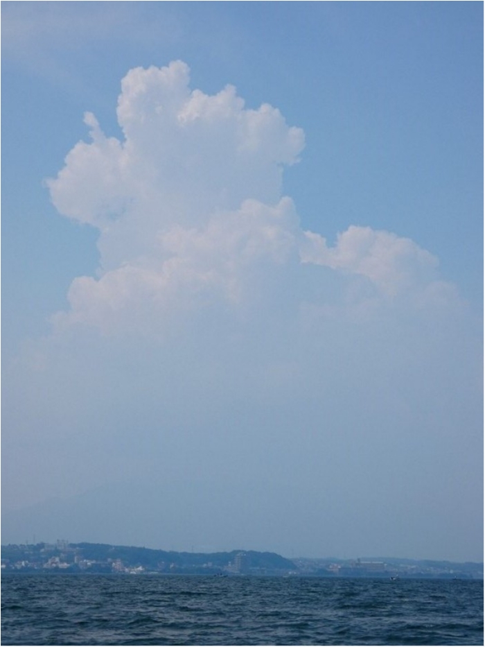 truth  ブログ写真 2018/07/16