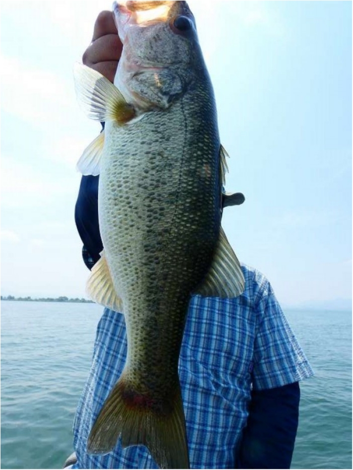 truth  ブログ写真 2018/07/16