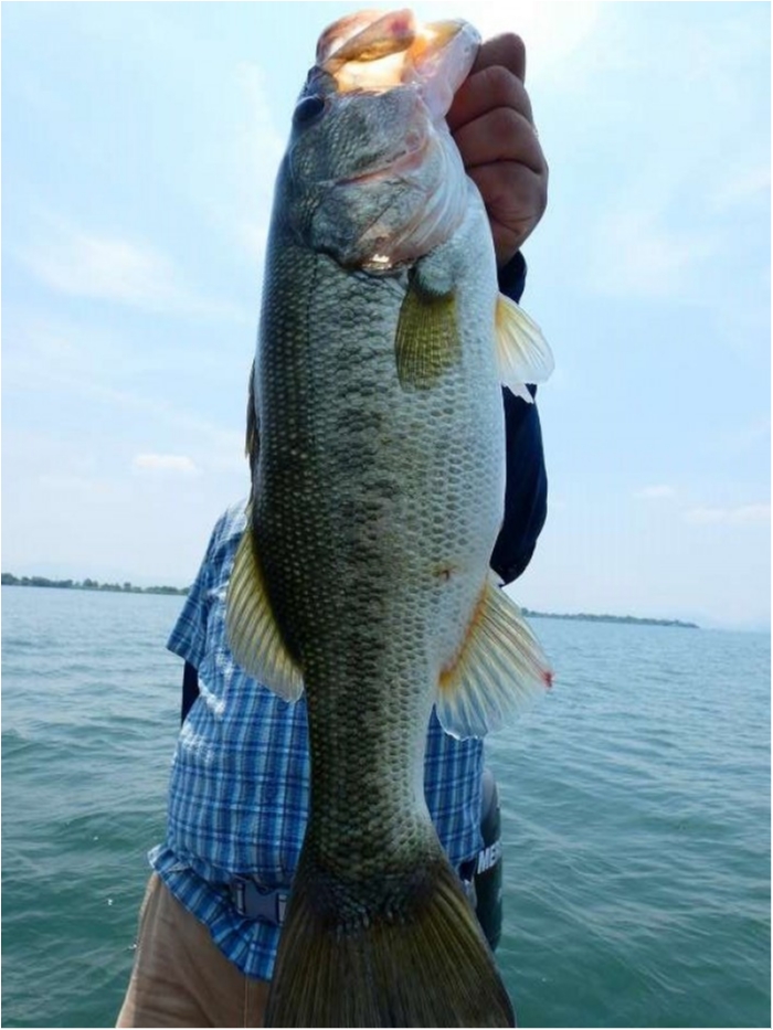 truth  ブログ写真 2018/07/16