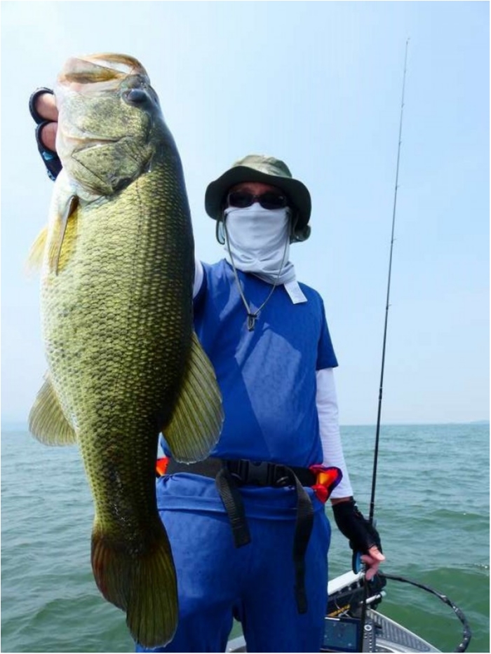 truth  ブログ写真 2018/07/17