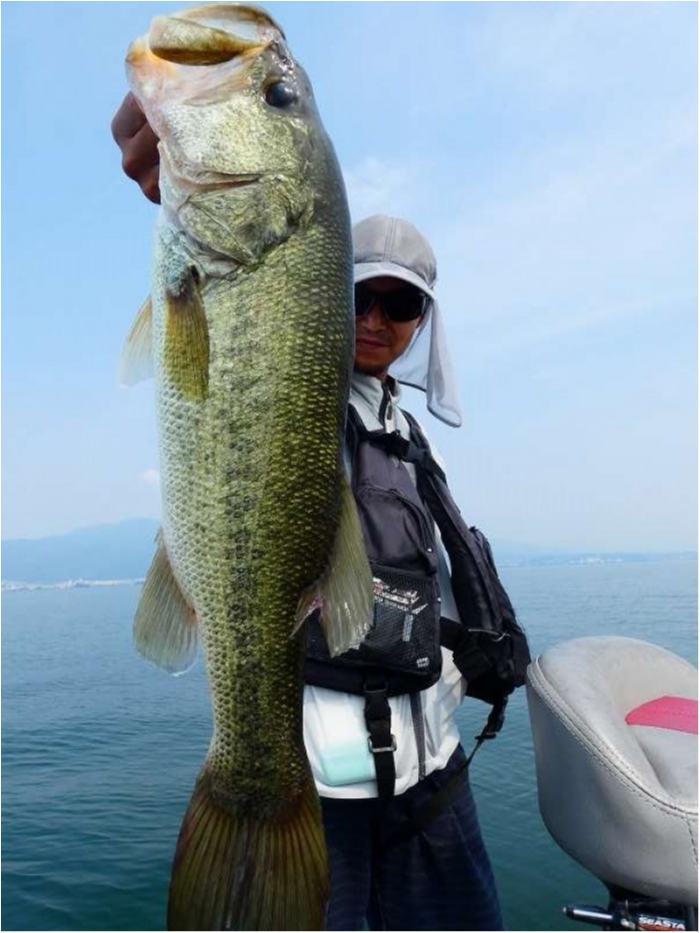 truth  ブログ写真 2018/07/17