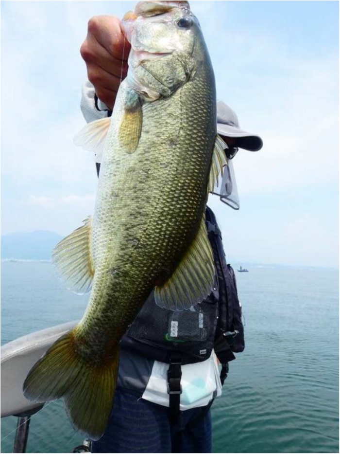 truth  ブログ写真 2018/07/17