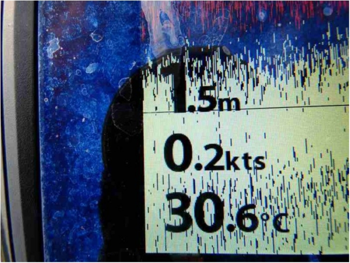 truth  ブログ写真 2018/07/17