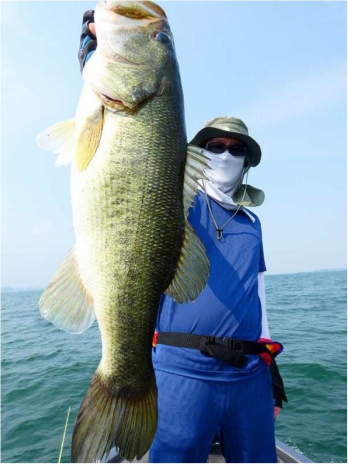 truth  ブログ写真 2018/07/17