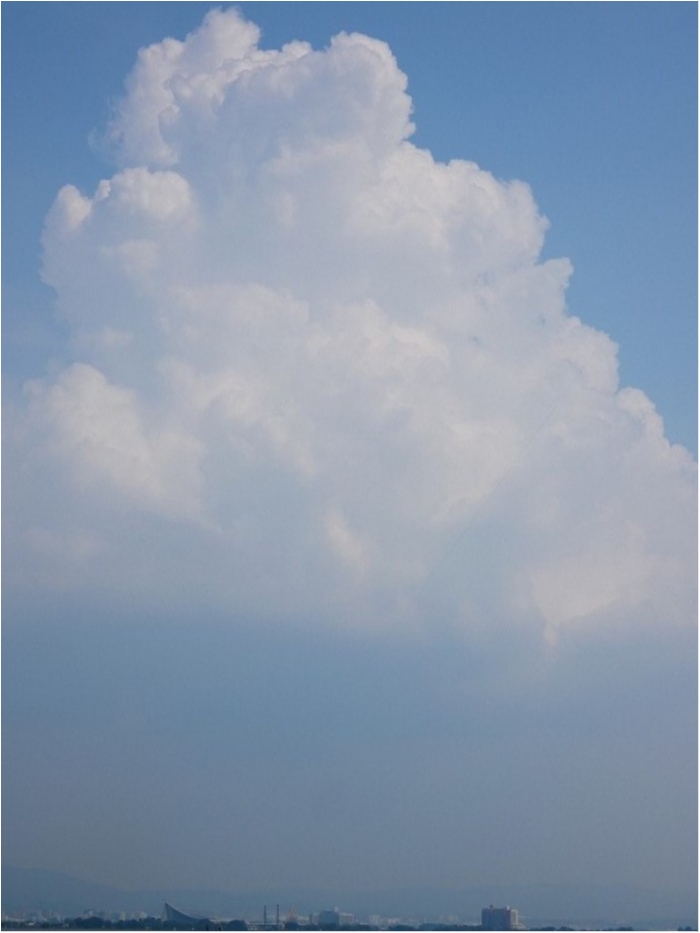 truth  ブログ写真 2018/07/17