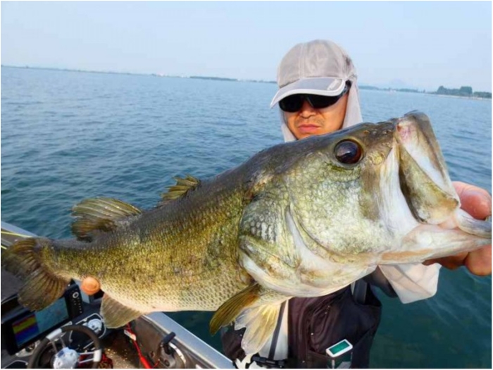 truth  ブログ写真 2018/07/17