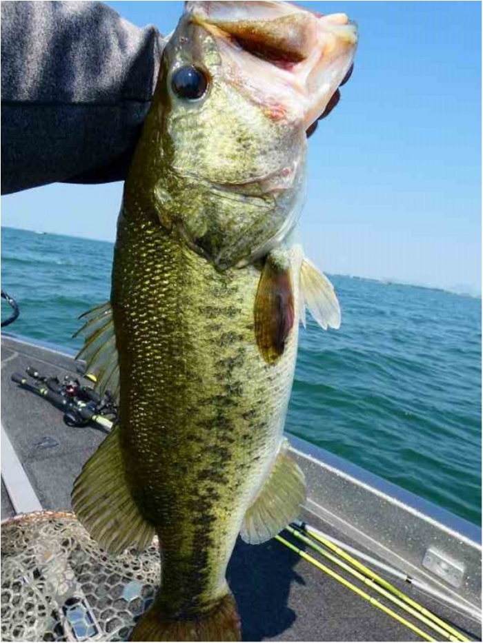 truth  ブログ写真 2018/07/19