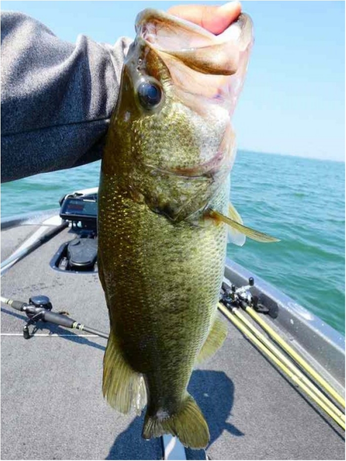 truth  ブログ写真 2018/07/19