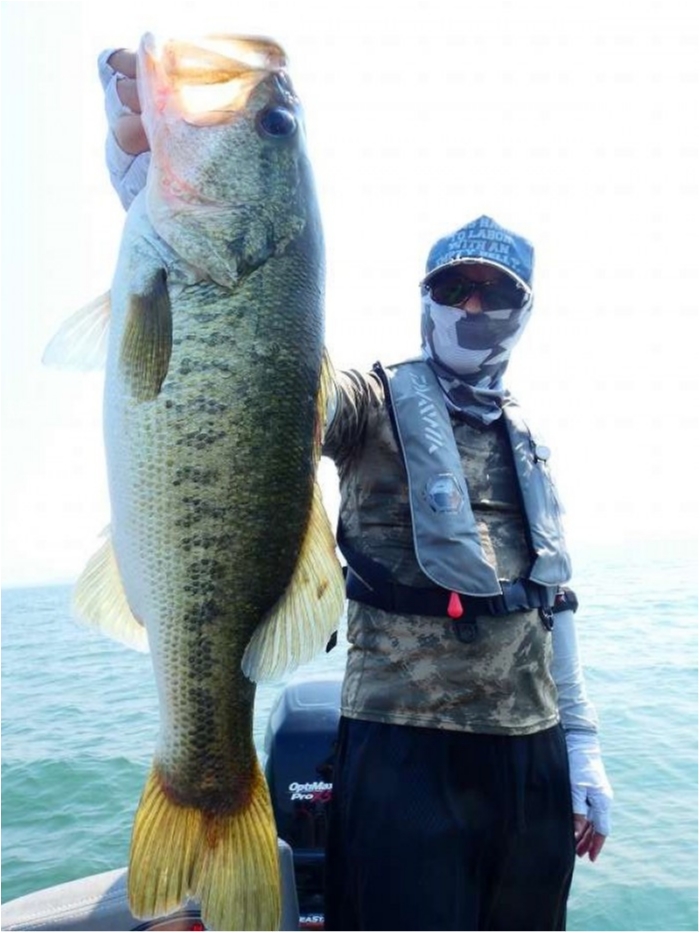 truth  ブログ写真 2018/07/19