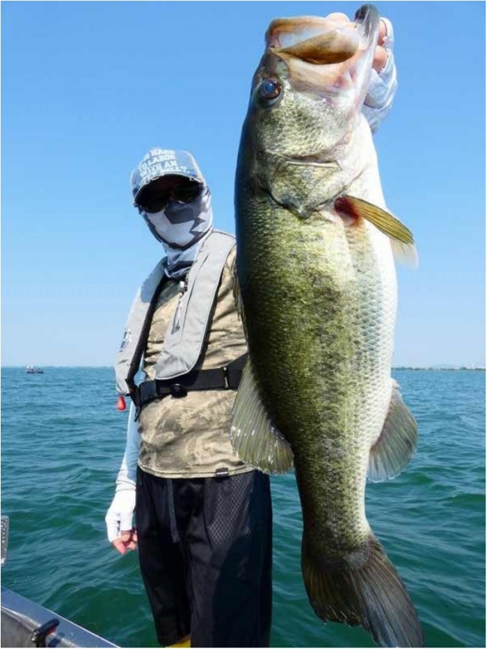 truth  ブログ写真 2018/07/19