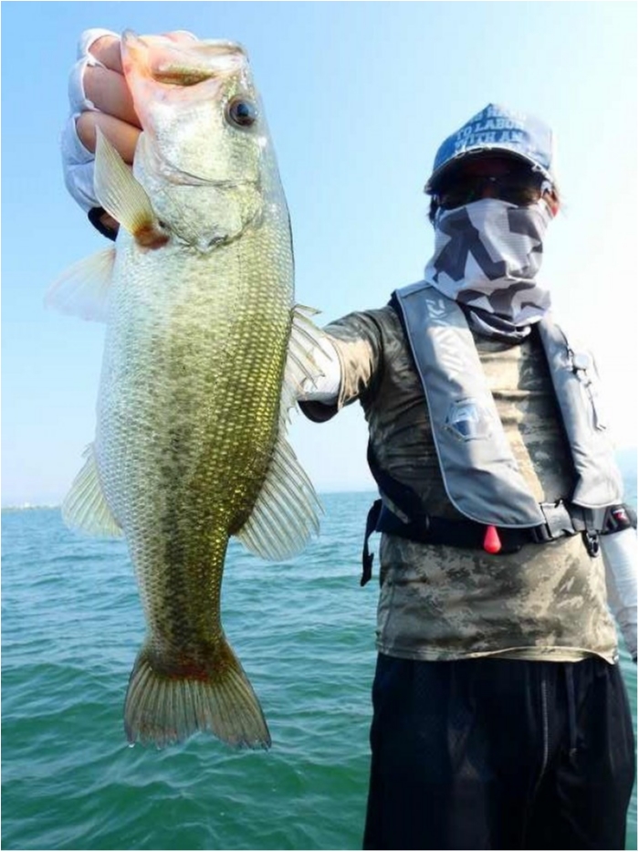 truth  ブログ写真 2018/07/19