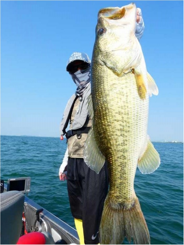 truth  ブログ写真 2018/07/19