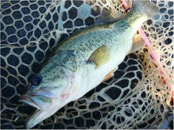 truth  ブログ写真 2018/07/19