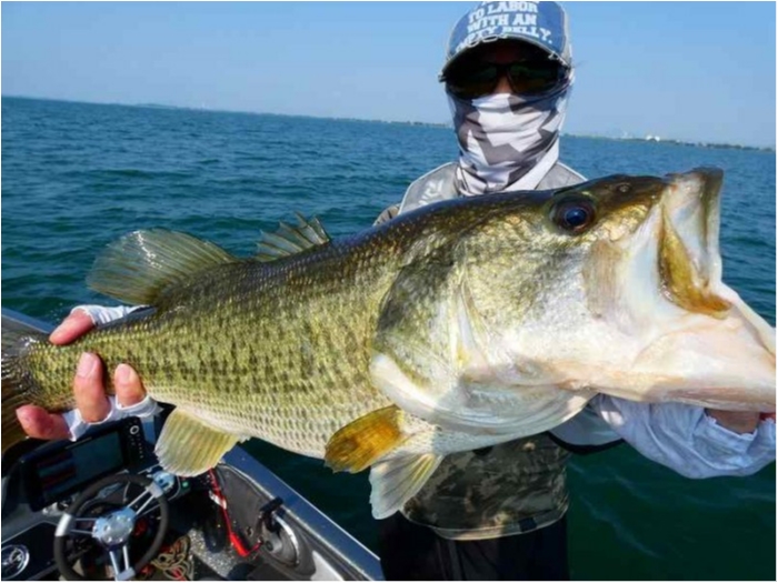 truth  ブログ写真 2018/07/19