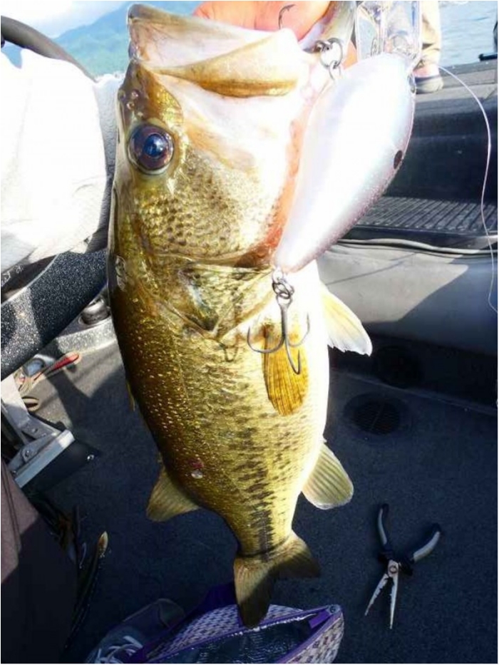 truth  ブログ写真 2018/07/21