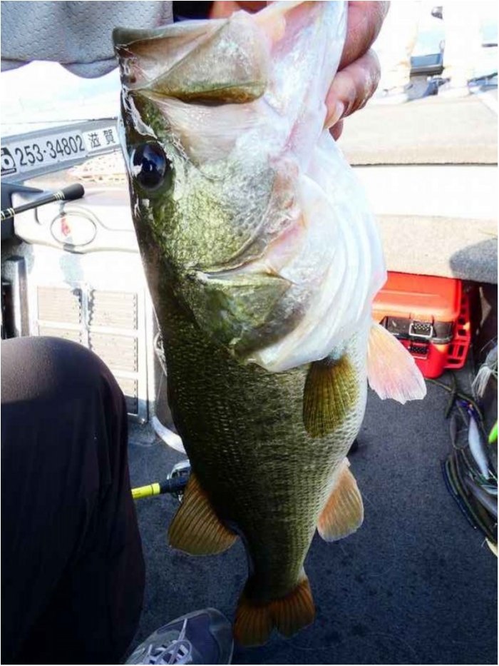 truth  ブログ写真 2018/07/21