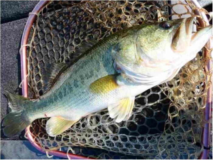 truth  ブログ写真 2018/07/21