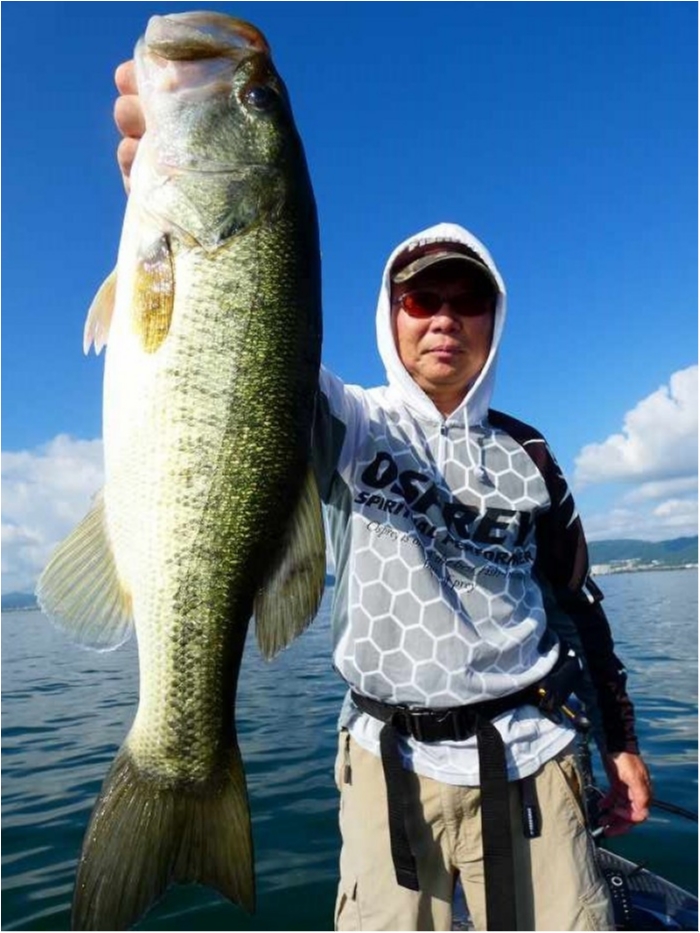 truth  ブログ写真 2018/07/21