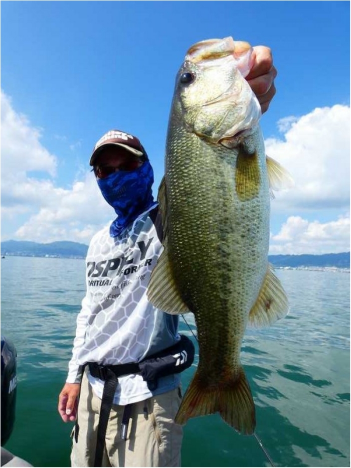 truth  ブログ写真 2018/07/21