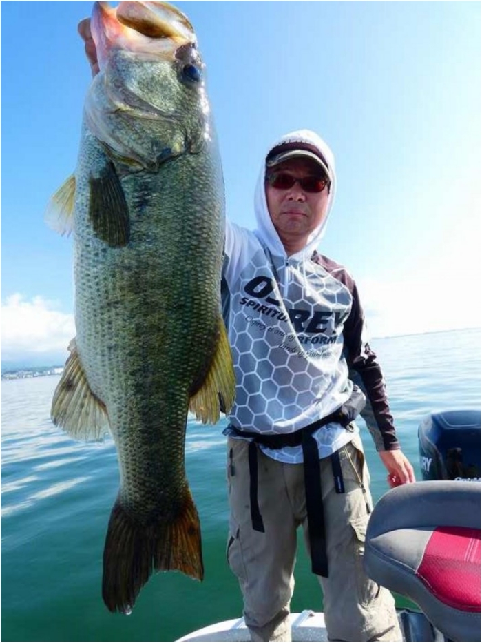 truth  ブログ写真 2018/07/21