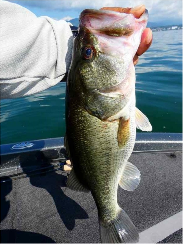 truth  ブログ写真 2018/07/21