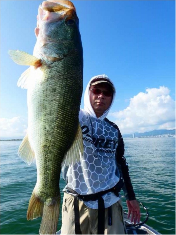 truth  ブログ写真 2018/07/21