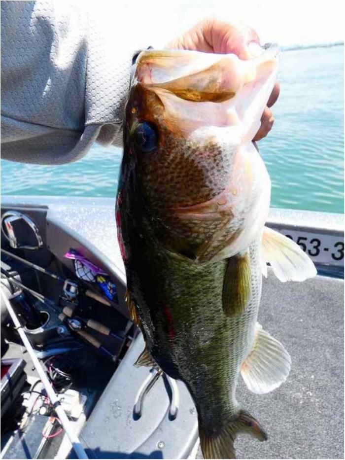 truth  ブログ写真 2018/07/21