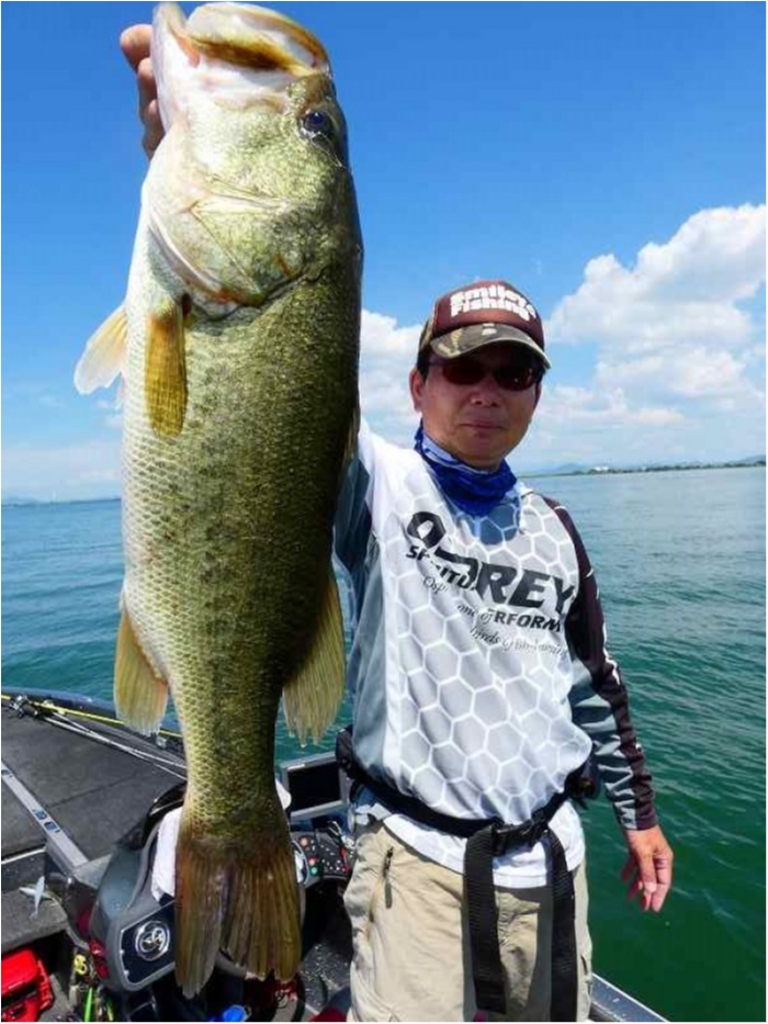 truth  ブログ写真 2018/07/21