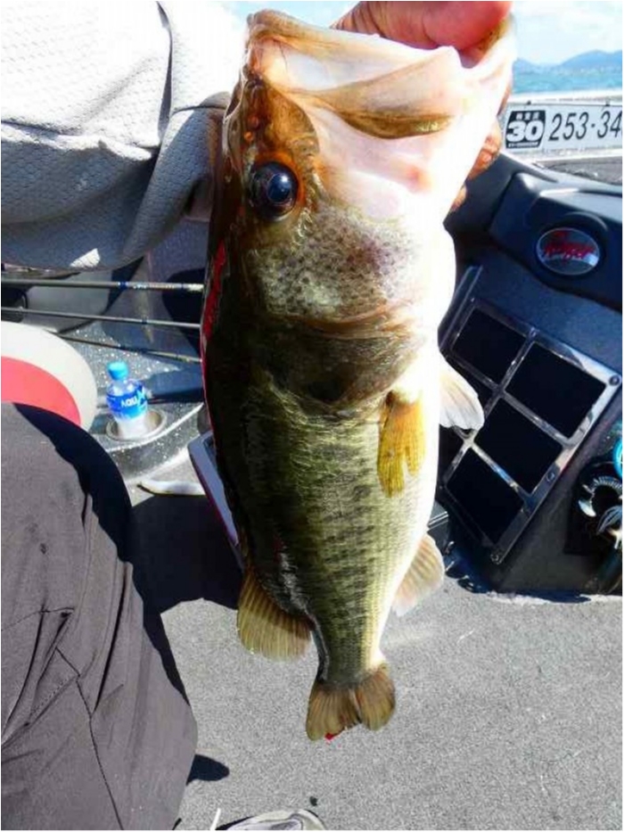 truth  ブログ写真 2018/07/21